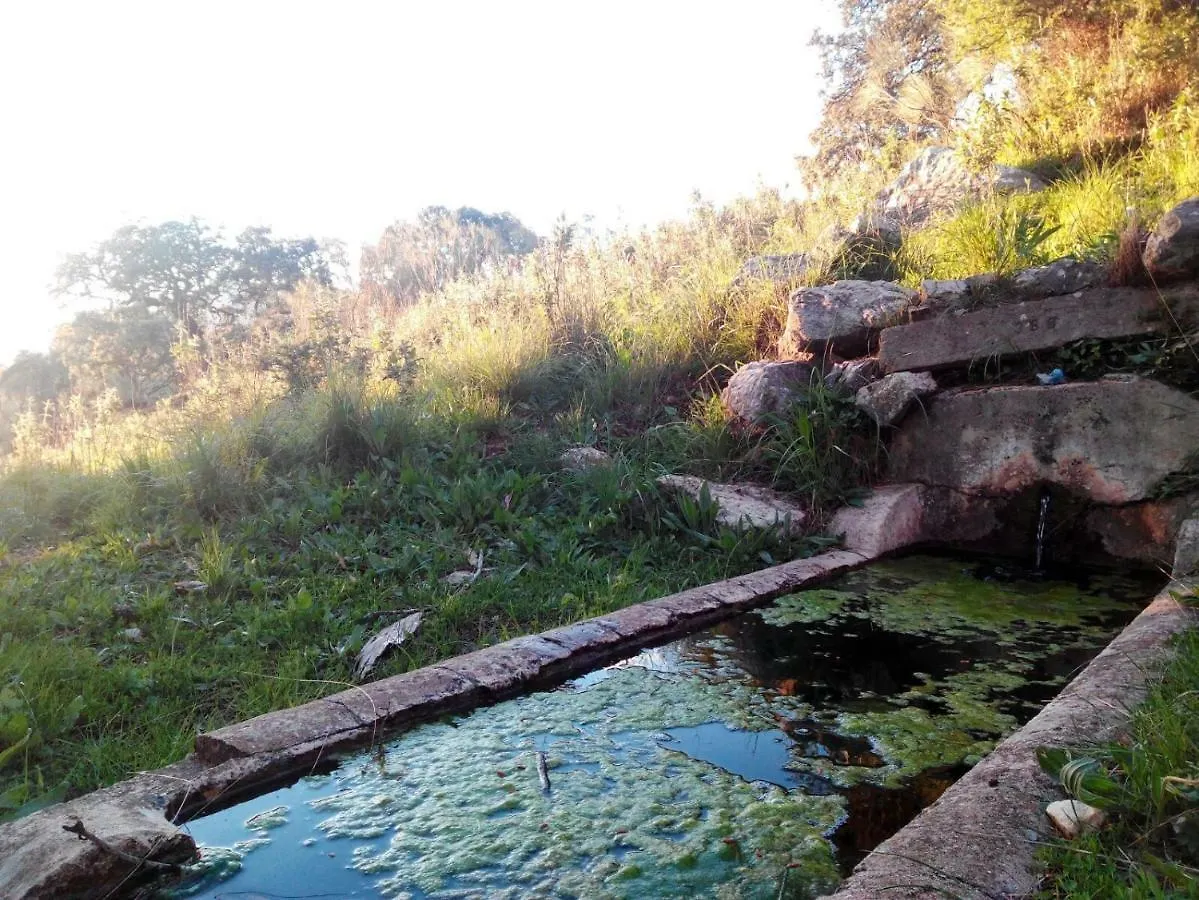 Las Parras Rute Country house